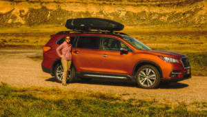 Thule Force Vs. Motion